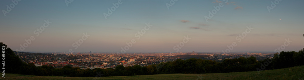 panoramic view of vienna