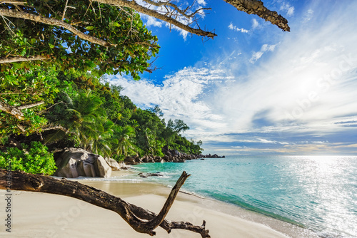 looking throug branches at paradise beach anse georgette,praslin seychelles 6