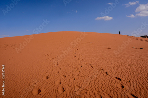 Einsamkeit in der W  ste auf einer D  ne aus rotem Sand im Wadi Rum