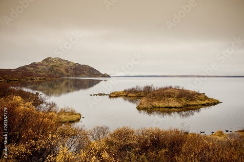 Picturesque view of lake and coast with stone cliff and dry grass in Iceland