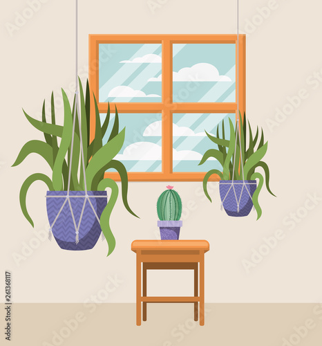 houseplants in macrame hangers with window