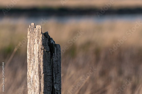 old wooden fence