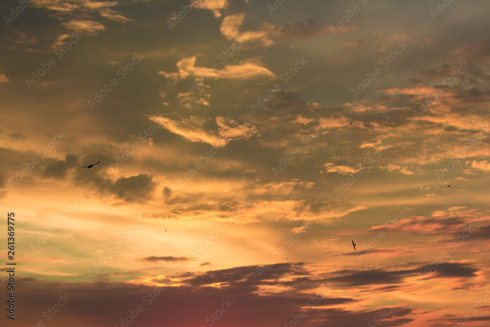 Fototapeta premium Vivid dramatic twilight sunset sky with colorful clouds and silhouettes of birds
