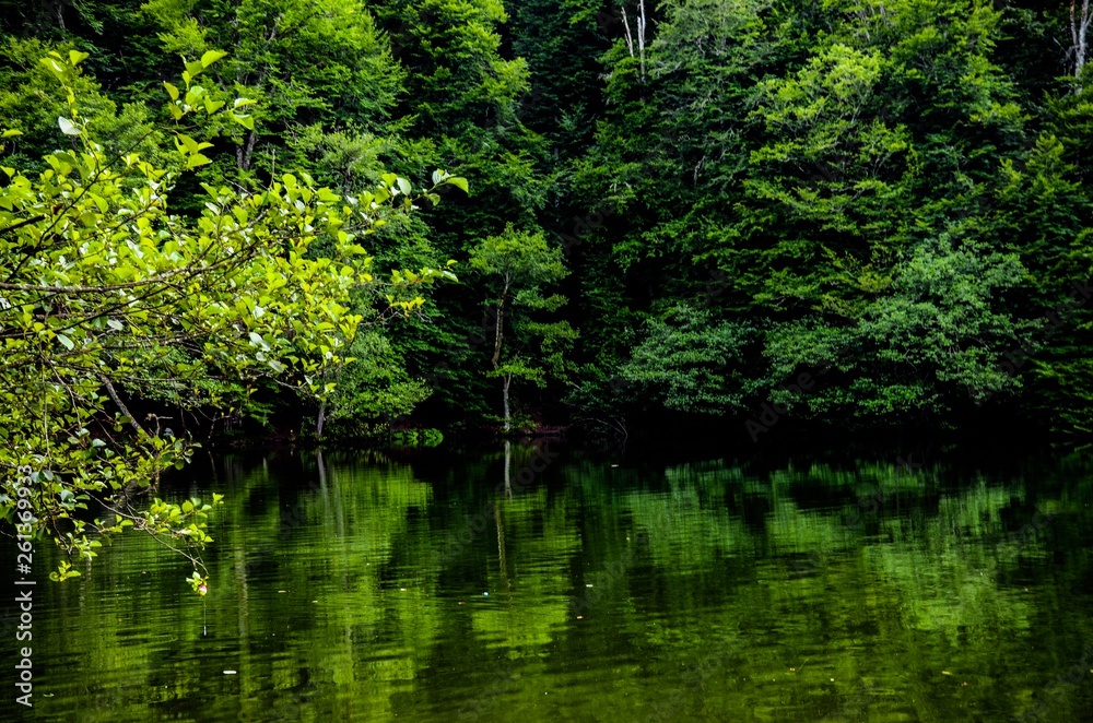 Deep green lake