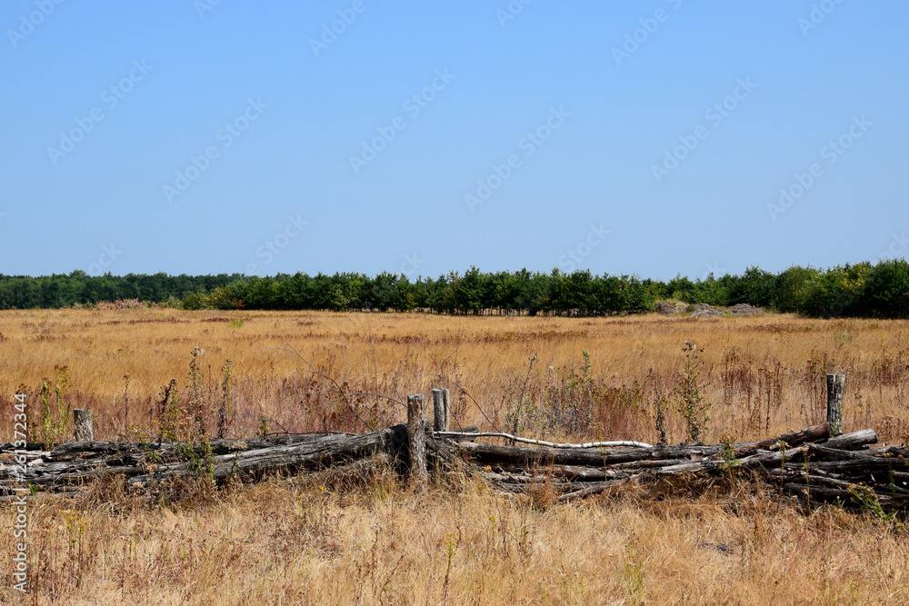 Obraz premium Dry landscape