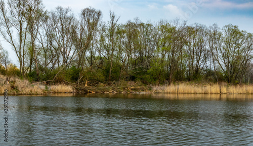 Ponds in Wola Rusiecka near Krakow
