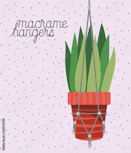 houseplant in macrame hangers