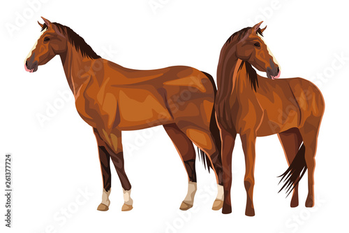 horse icon cartoon