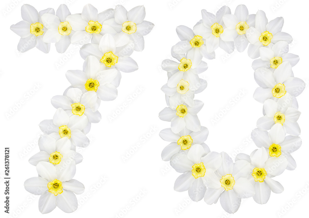 Numeral 70, seventy, from natural white flowers of Daffodil (narcissus), isolated on white background