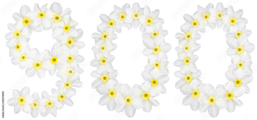Numeral 900, nine hundred, from natural white flowers of Daffodil (narcissus), isolated on white background