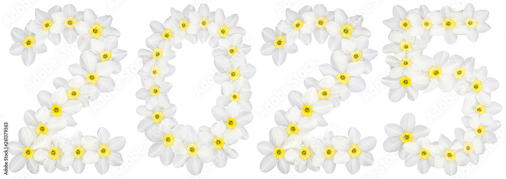 Inscription 2025, from natural white flowers of Daffodil (narcissus), isolated on white background Inscription 2025, from natural white flowers of Daffodil (narcissus), isolated on white background