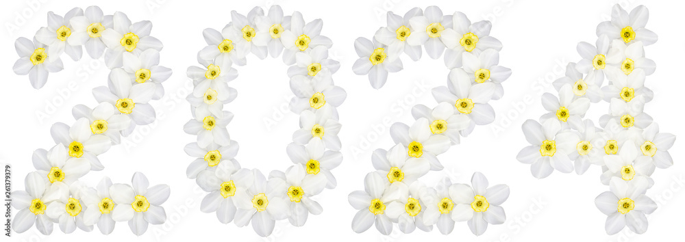 Inscription 2024, from natural white flowers of Daffodil (narcissus), isolated on white background