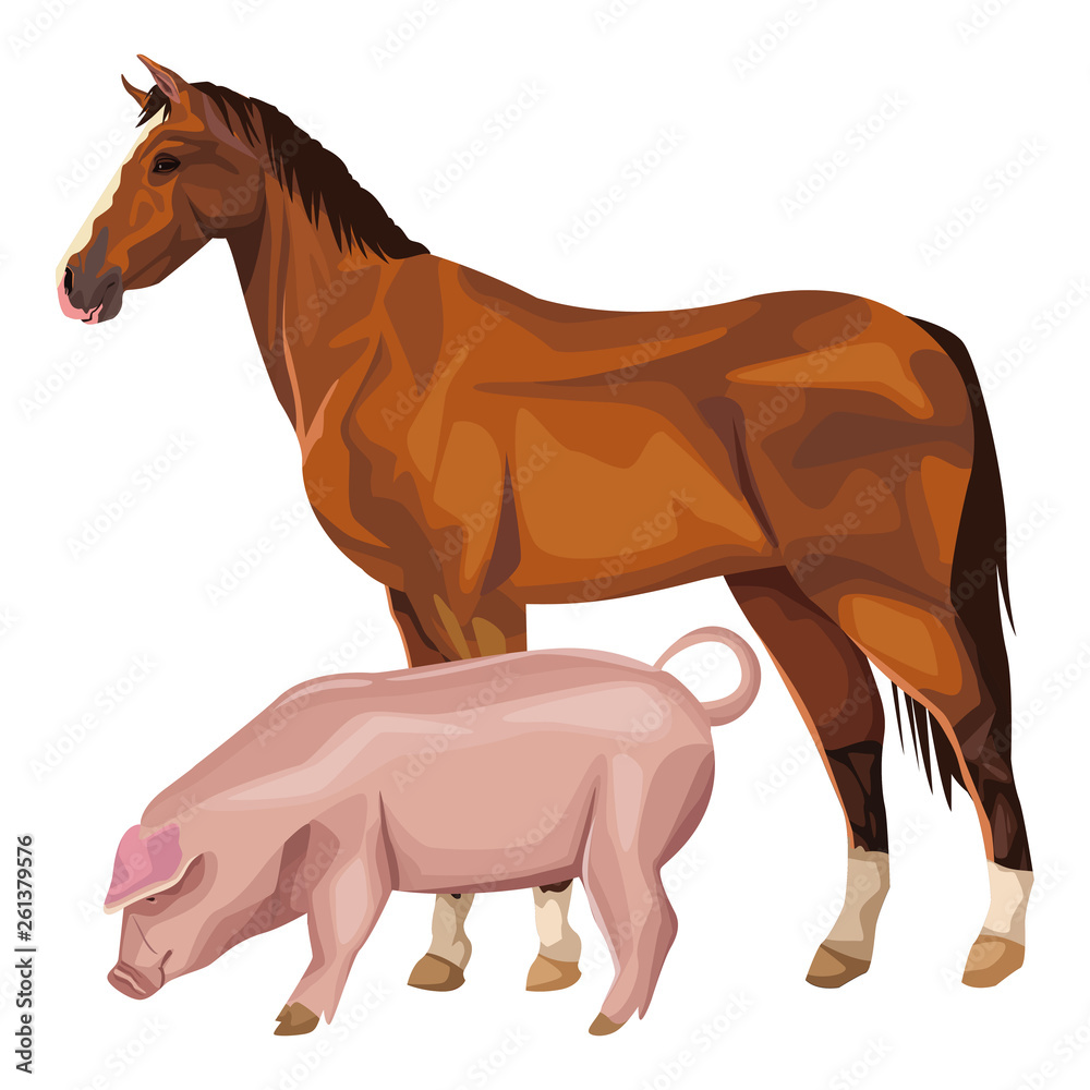 horse and pig