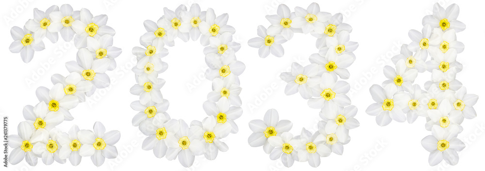 Inscription 2034, from natural white flowers of Daffodil (narcissus), isolated on white background