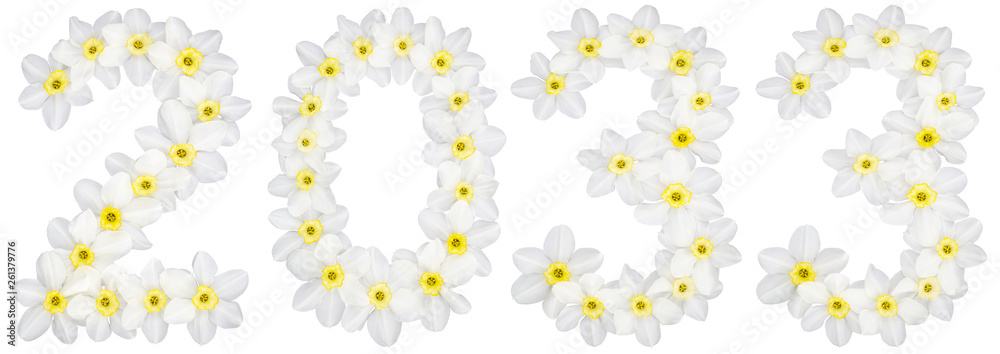 Inscription 2033, from natural white flowers of Daffodil (narcissus), isolated on white background