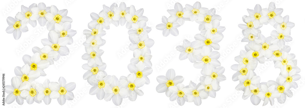 Inscription 2038, from natural white flowers of Daffodil (narcissus), isolated on white background