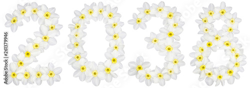 Inscription 2038  from natural white flowers of Daffodil  narcissus   isolated on white background