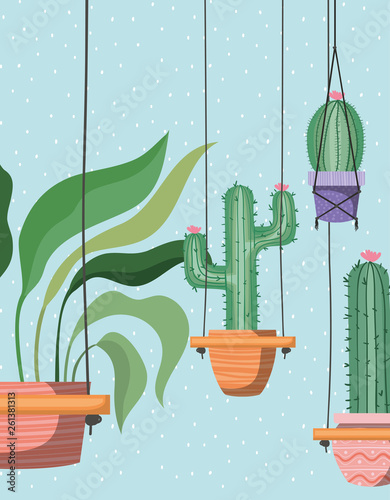 houseplants in macrame hangers