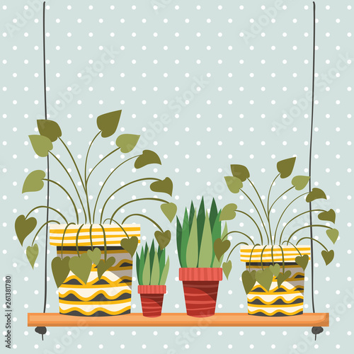 houseplants in macrame hangers and swing