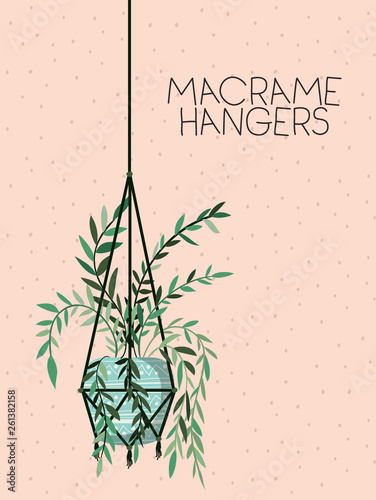 houseplant in macrame hangers