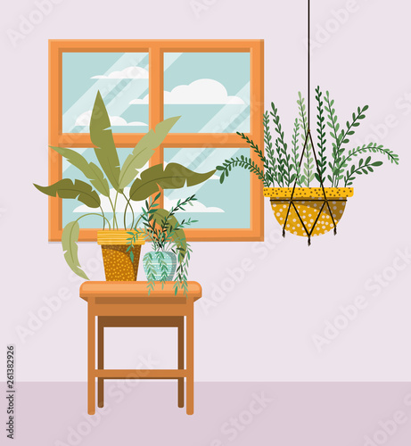 houseplant in macrame hanger with window