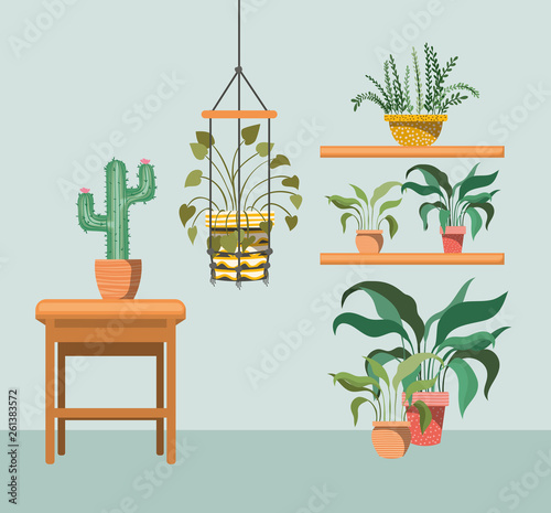 houseplants in macrame hangers and wooden chair