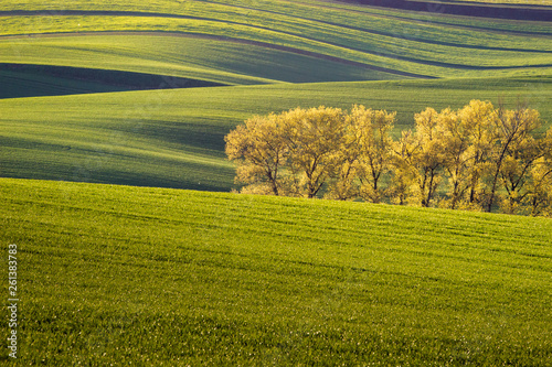 Fields of South Moravia, Moravian Tuscany © Hedvika