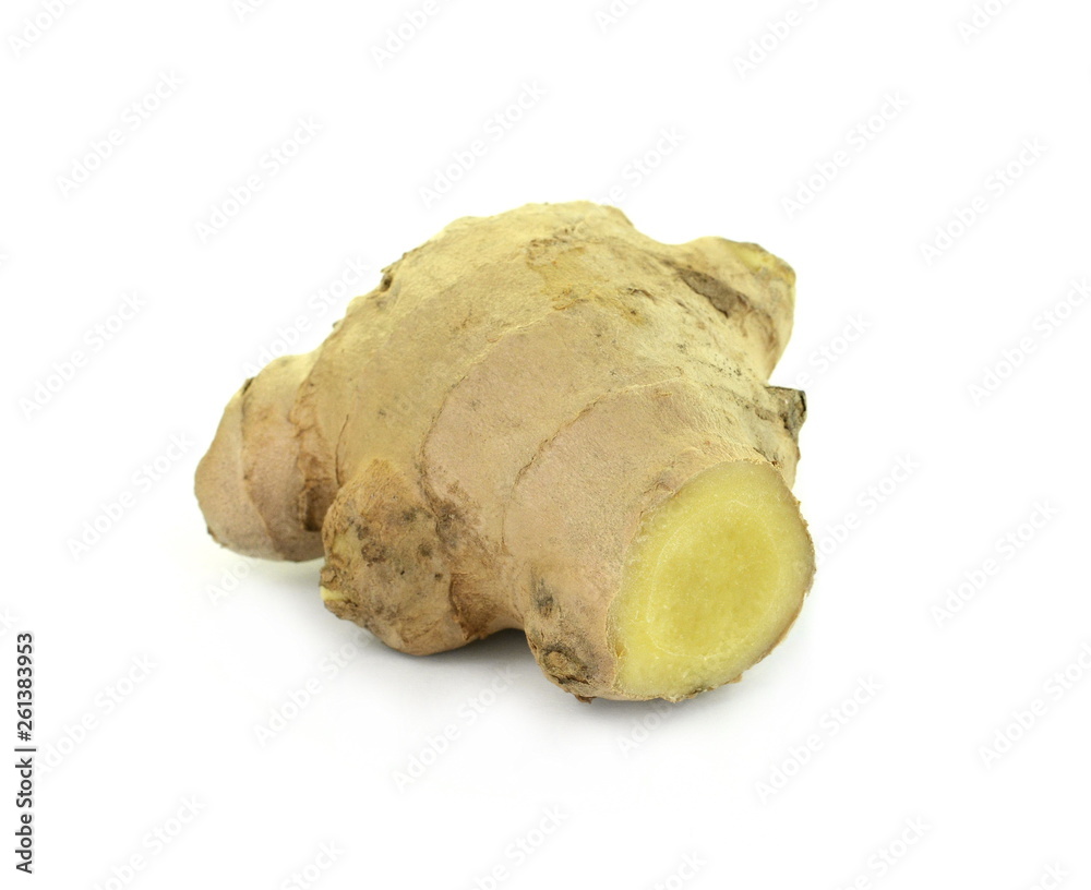 Fresh ginger on white background, herb medical concept - Image. Raw ginger root . Raw ginger root isolate on white background. Ginger root originated as ground flora of tropical lowland forests.
