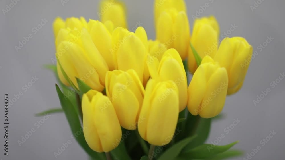 Beautiful yellow tulips flowers in white interior closeup Beautiful yellow tulips flowers in white interior closeup
