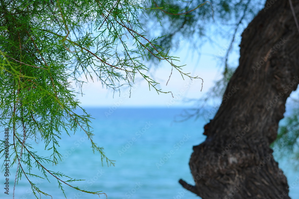 Fototapeta premium Seascape, Ierissos beach, Chalkidiki, Greece