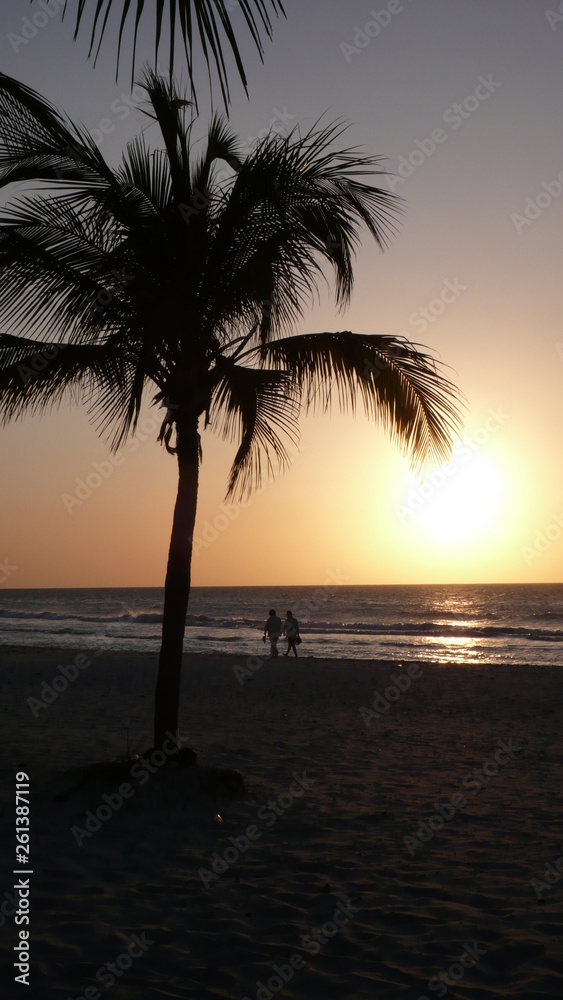 Walk on beach at sunset