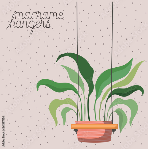 houseplant in macrame hangers