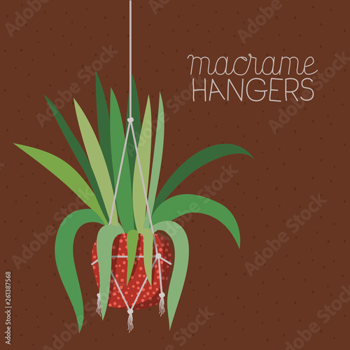houseplant in macrame hangers