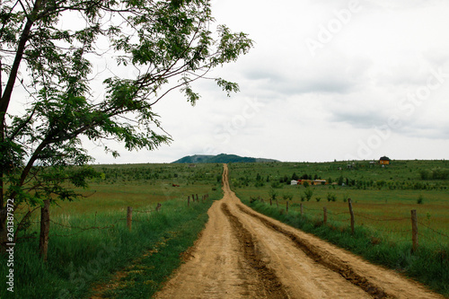 Beautiful gravel road in yellow green lush agricultural crop fields on a summer day