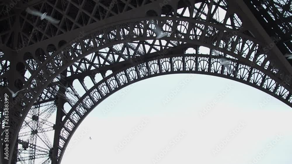 Birds under the Eiffel Tower in Paris Birds under the Eiffel Tower in Paris