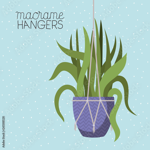 houseplant in macrame hangers