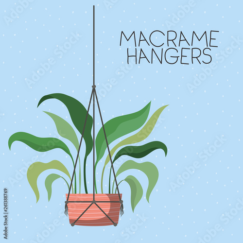 houseplant in macrame hangers