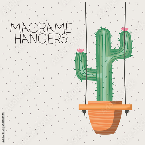cactus houseplant in macrame hangers