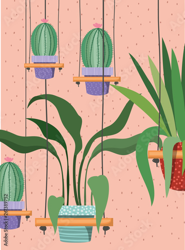 houseplants in macrame hangers