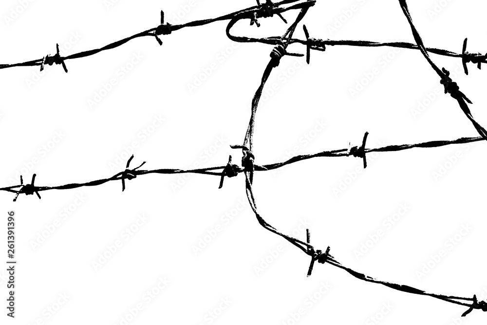Barbed wire background. Fence illustration isolated on white ...