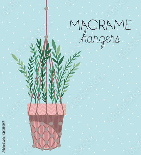 houseplant in macrame hangers