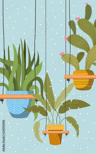houseplants in macrame hangers