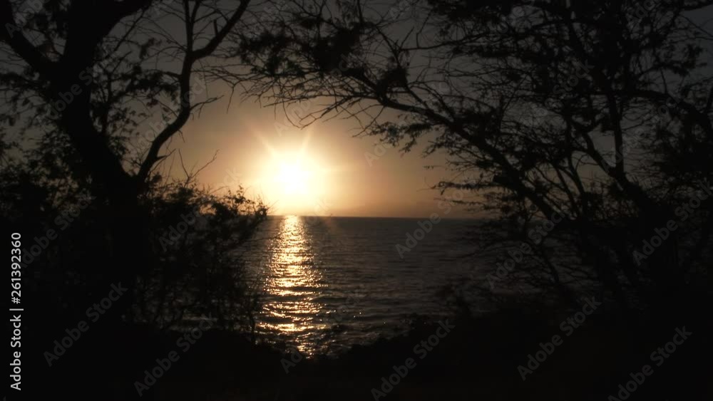 Sun Shines Through A Window Of Trees Over Water Sun Shines Through A Window Of Trees Over Water