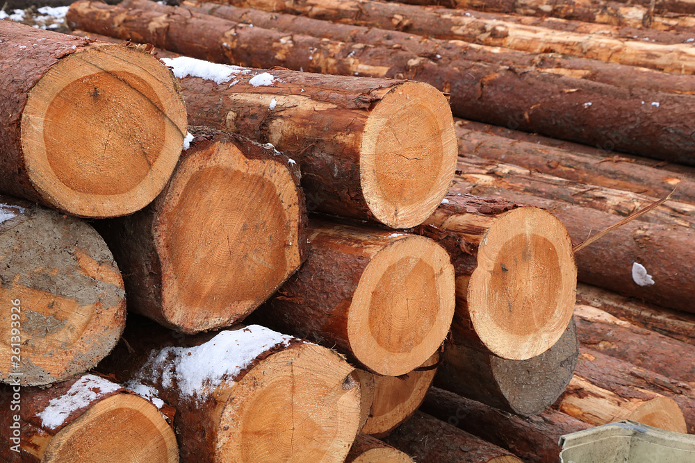 A pile of chopped firewood, prepared for winter. Cutting down wood on an industrial scale in Russia is detrimental to the environment. A pile of chopped firewood, prepared for winter. Cutting down wood on an industrial scale in Russia is detrimental to the environment.