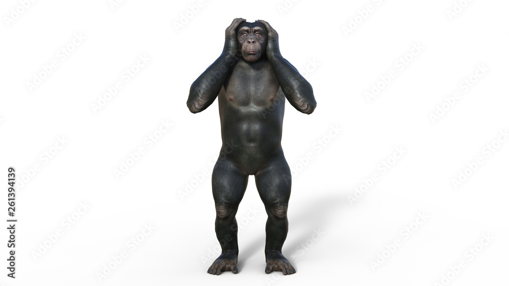 Chimpanzee monkey, primate ape covering ears, wild animal isolated on white background, 3D illustration Chimpanzee monkey, primate ape covering ears, wild animal isolated on white background, 3D illustration