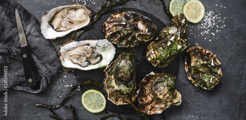 Fresh opened oysters with lemon, spices, salt, a knife and seaweed on slate stone background. Seafood, Shellfish, top view, flat lay