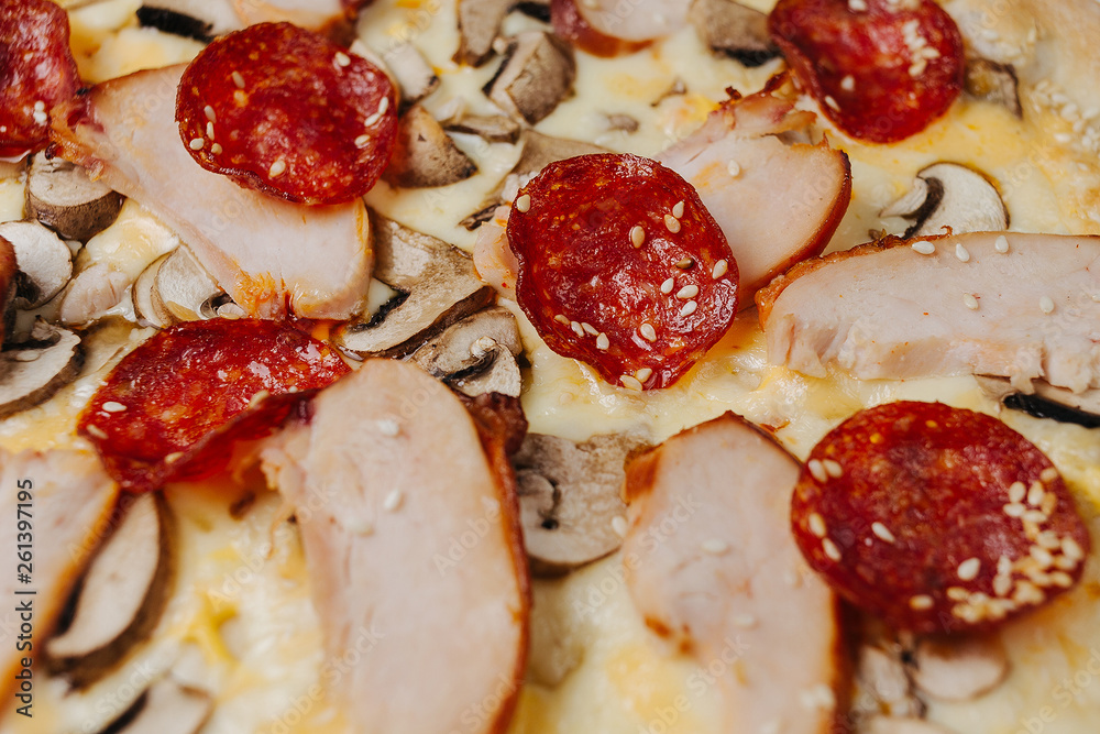 Pizza isolated Pizza isolated