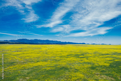 field and blue sky