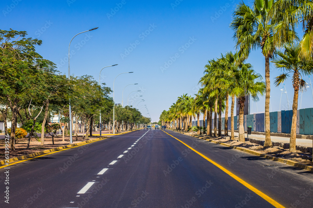 Fototapeta premium USA south Carolina city street park outdoor scenic landscape with ring road view between palm trees alley way in bright colorful summer weather time