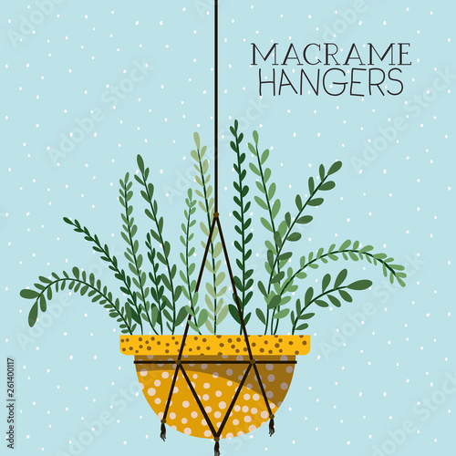 houseplant in macrame hangers